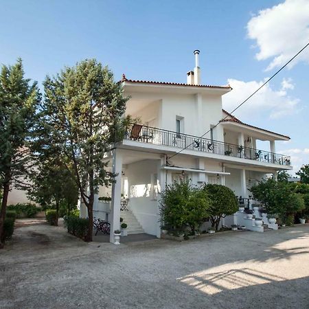 All You Need Is Nafplio Apartment Екстериор снимка